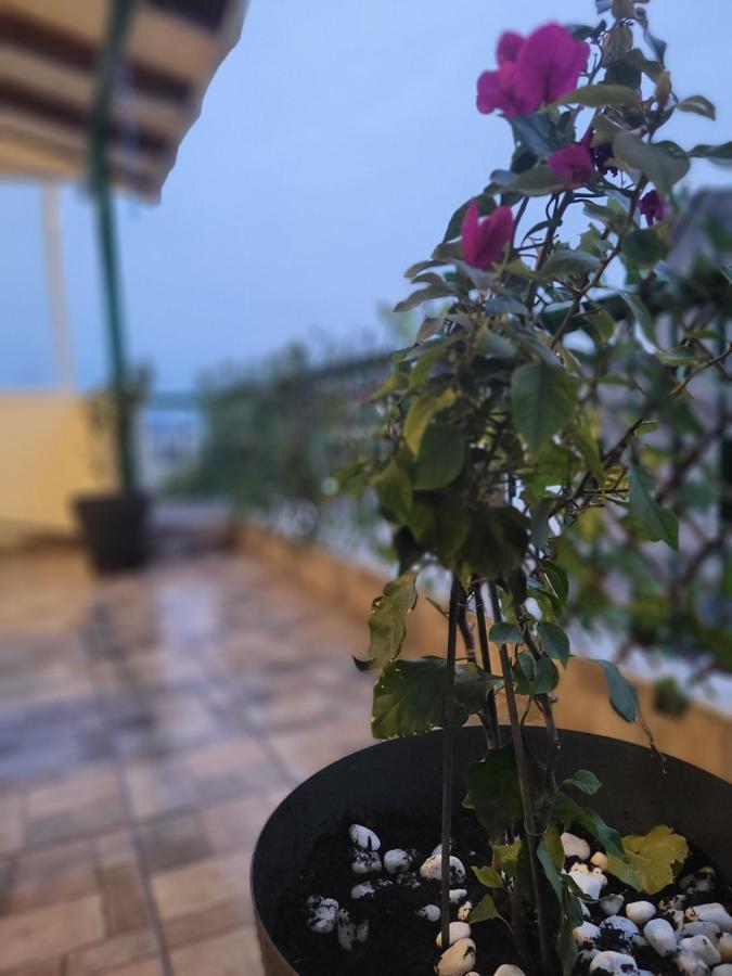 Marge Apt آرتا المظهر الخارجي الصورة